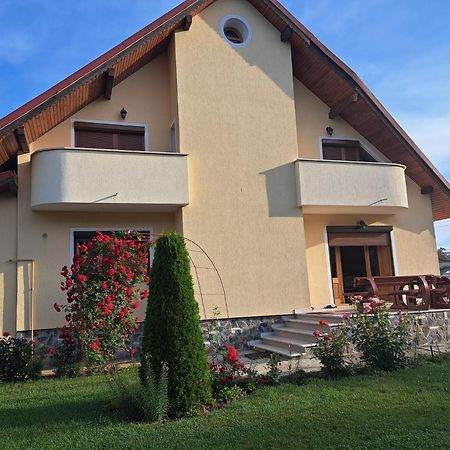 Vila Grecu Hotel Kopacsel Kültér fotó