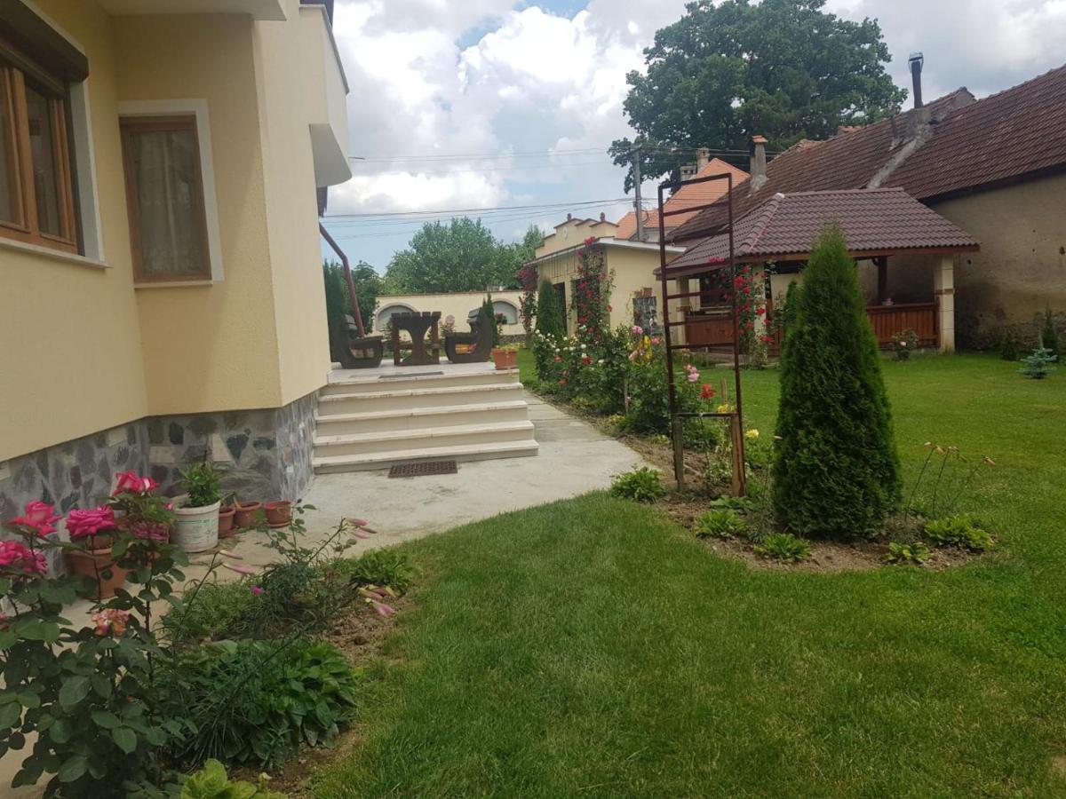 Vila Grecu Hotel Kopacsel Kültér fotó