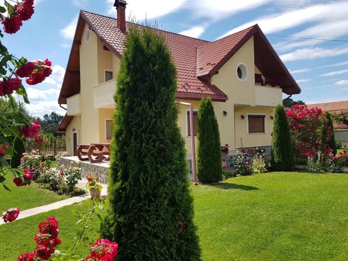 Vila Grecu Hotel Kopacsel Kültér fotó