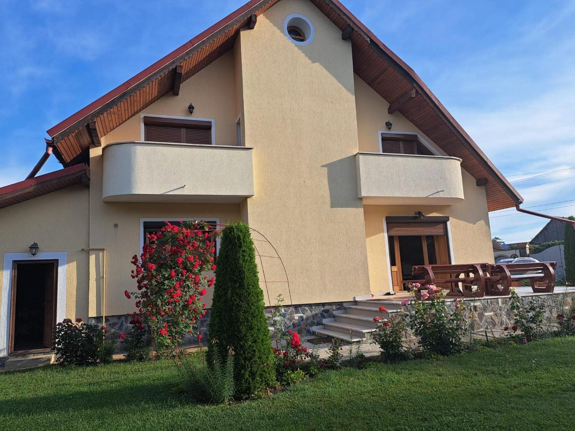 Vila Grecu Hotel Kopacsel Kültér fotó