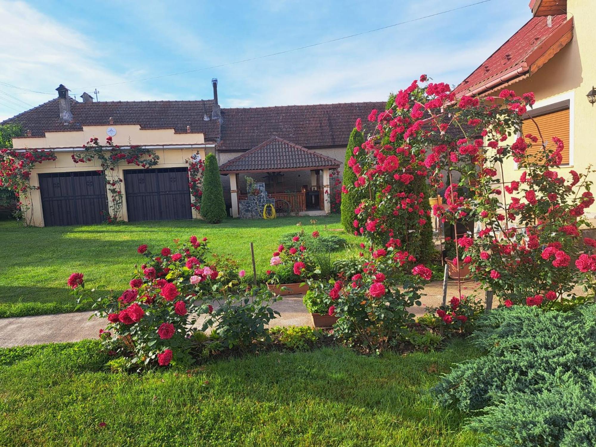 Vila Grecu Hotel Kopacsel Kültér fotó