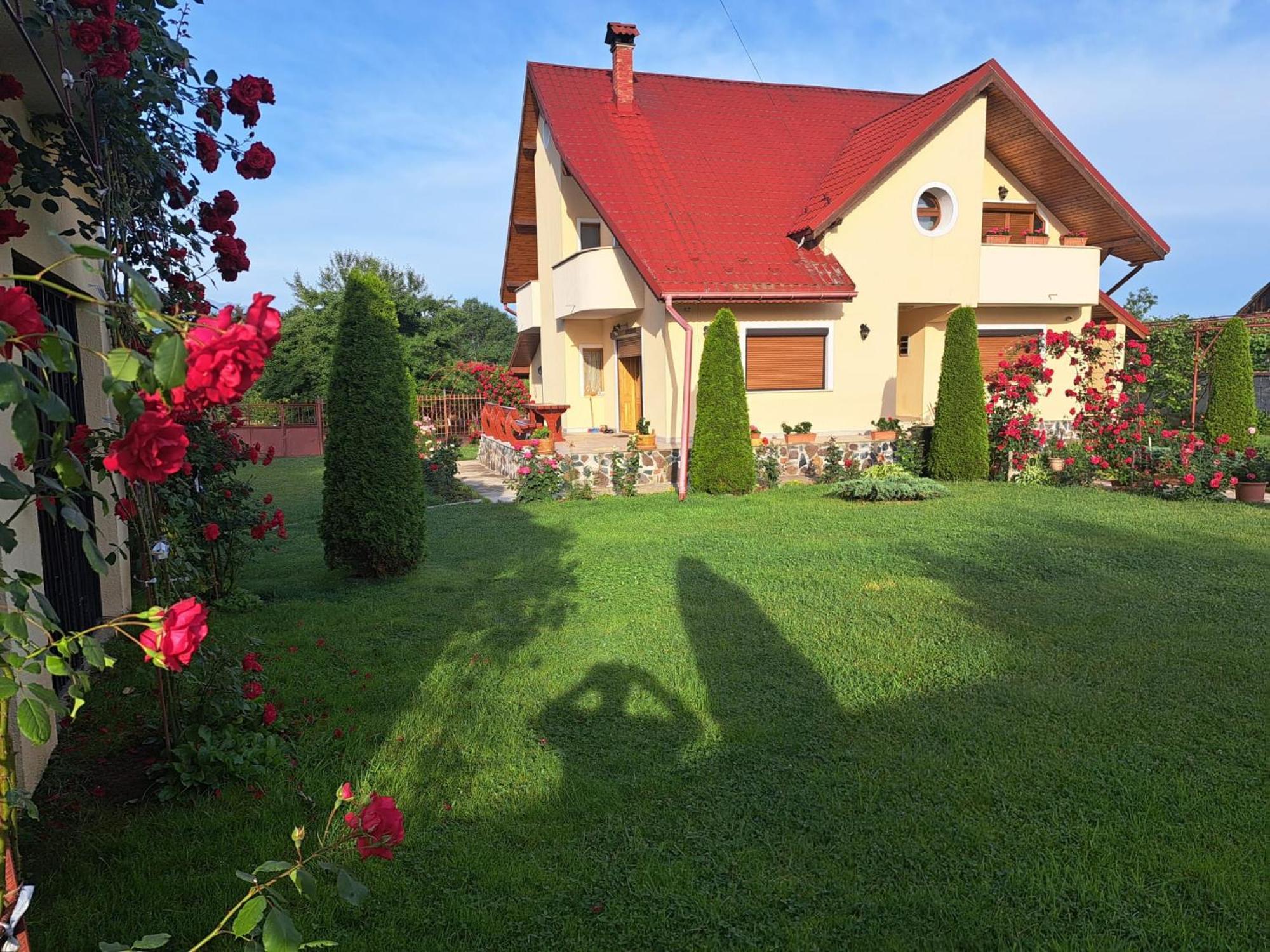 Vila Grecu Hotel Kopacsel Kültér fotó